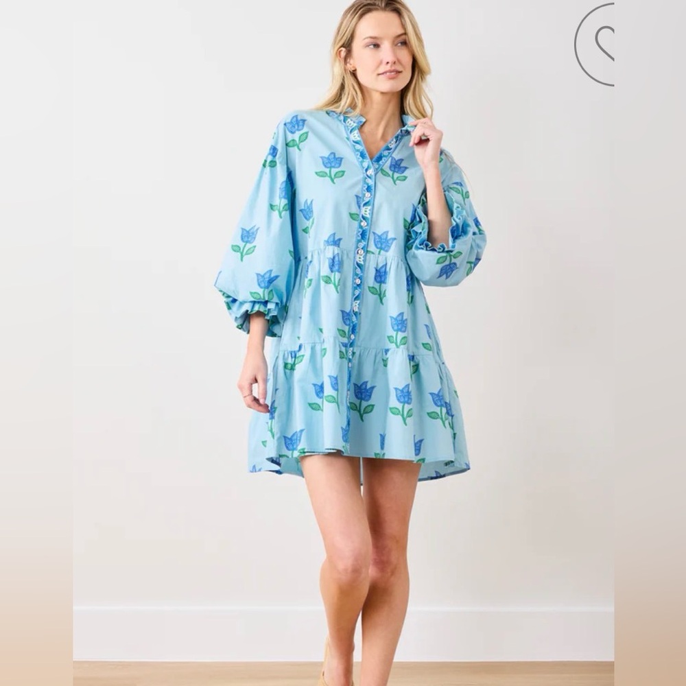 Printfresh Rosalina Dress Tulip Bloom Blue NWT Size M Organic Cotton $198 - Picture 3 of 12